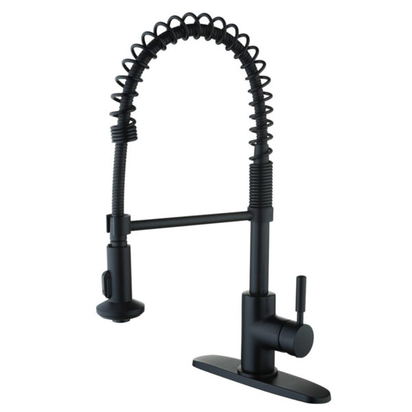 192-7173 Casmir Single Handle Kitchen Faucet